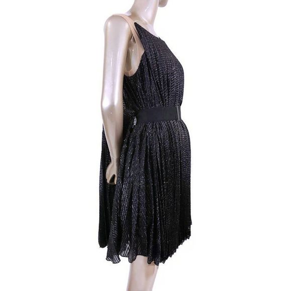 NWT Maria Lucia Hohan Limited Series Knife Pleated Metallic Party Dress - Picture 3 of 16